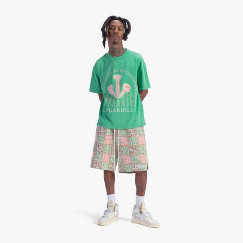 "Blocka" Shorts (multicolor)