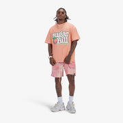 "Ascension" Shorts (melon)