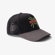 "Radioactive" Twill Hat (black/grey)