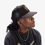 "Radioactive" Twill Hat (black/grey)