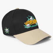 "Dancing" Hat (black/oatmeal)