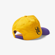 "Anatomy" Twill Snapback (gold/purple)