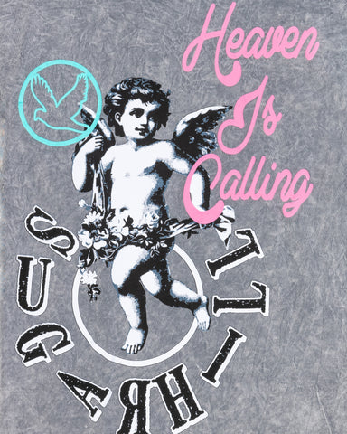 HEAVEN IS CALLING T-SHIRT (MINERAL GREY)